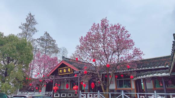 溧陽竹海灣農莊【包吃住】【近南山竹海景區】